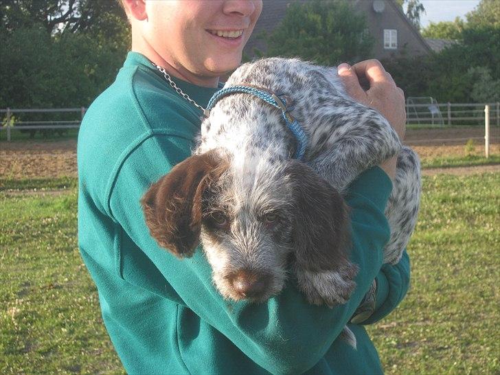 Blanding af racer Cocio billede 12