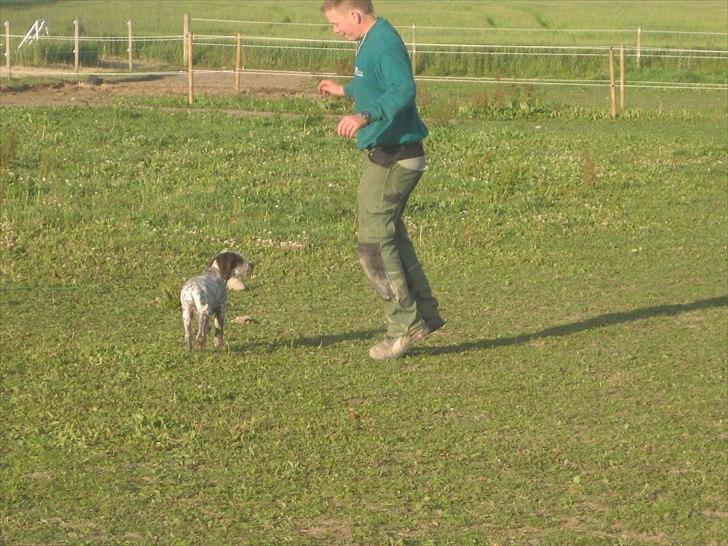 Blanding af racer Cocio billede 14