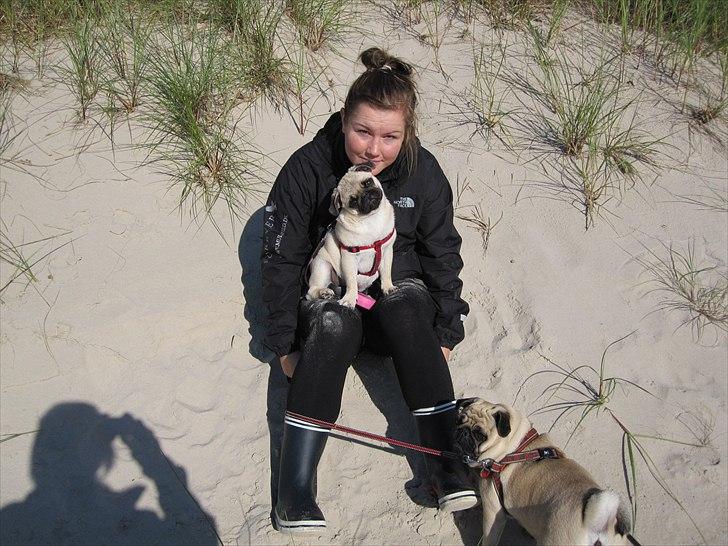 Mops Alma (Mine forældres) - Alma og Jeg billede 19