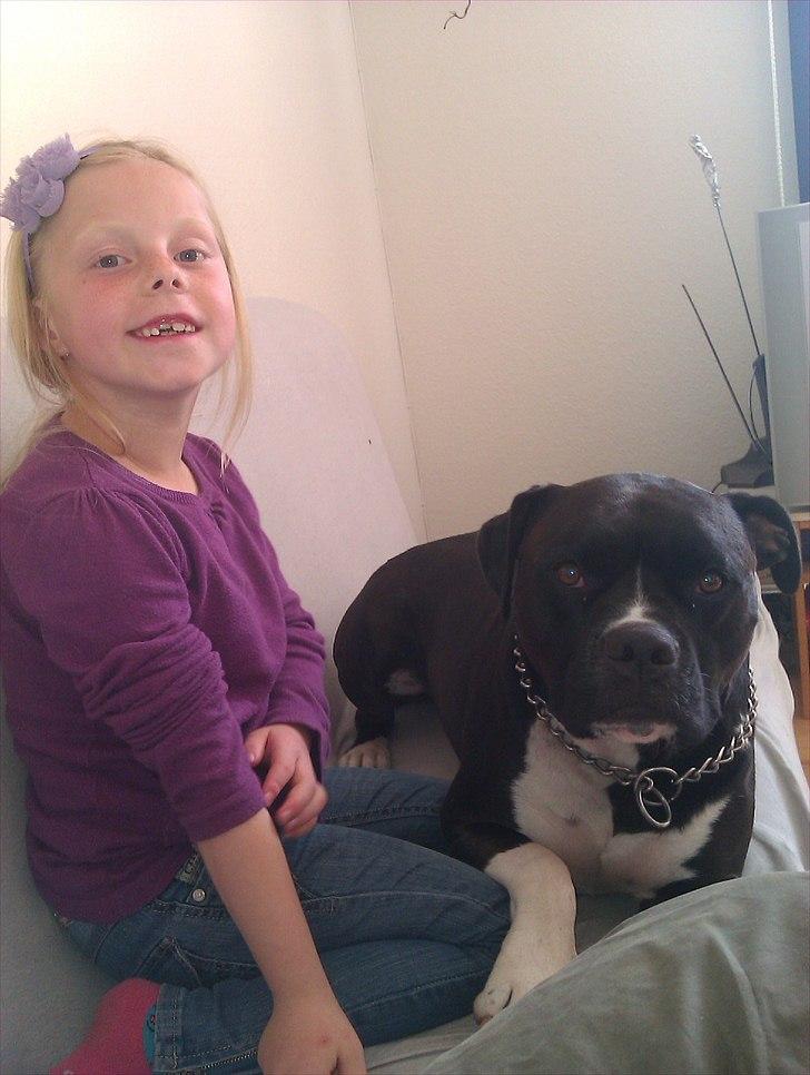 Blanding af racer Rocky - malene og rocky billede 15