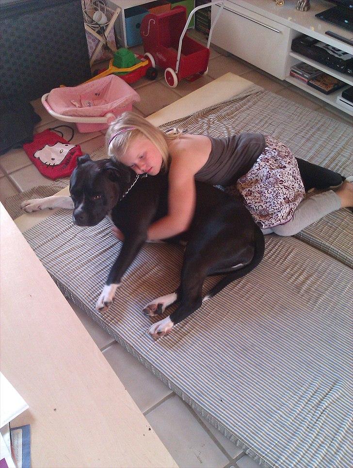 Blanding af racer Rocky - natasja og rocky billede 17