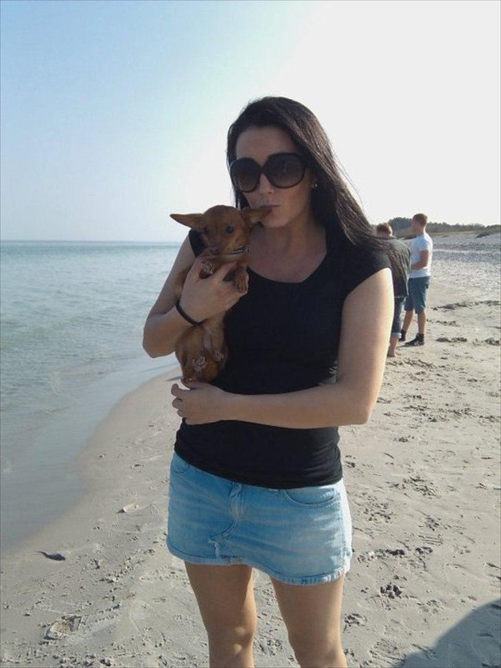 Dvaergpinscher /papillon - Cassiopeia - billede fra stranden, da vi var til påskefrokost i min mormor og morfars sommerhus :-) billede 19