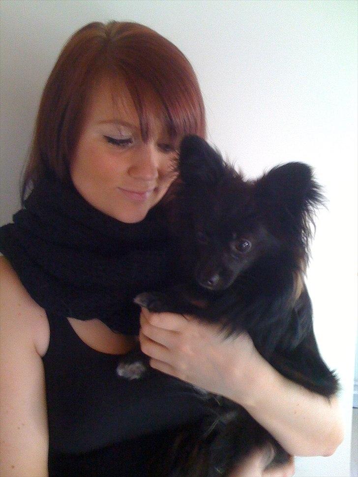 Papillon /Pomeranian -Tino <3 - mig og mor (: billede 19
