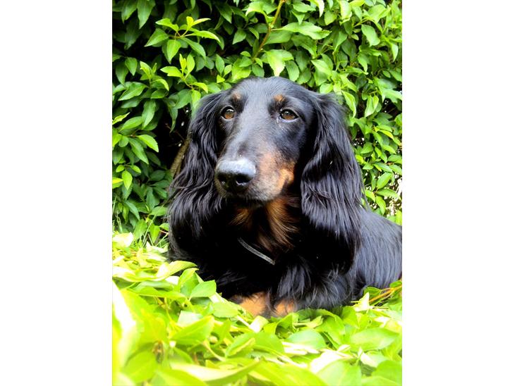 {{currentPhoto.altText}} billede {{currentPhoto.number}}