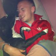 Staffordshire bull terrier Chica *Beautyness