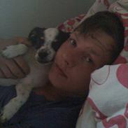 Blanding af racer Anton