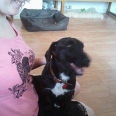 Blanding af racer Bonni 