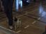 Papillon NA´s Mikey *Gavtyv* Min mors hund :-)