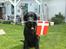 Curly coated retriever Balto (RIP) - Balto elsker Danmark 