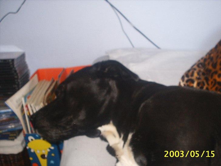 Blanding af racer Camilla Aka. Tøsen R.I.P - Nu Lader jeg som om jeg sover mor.. billede 2