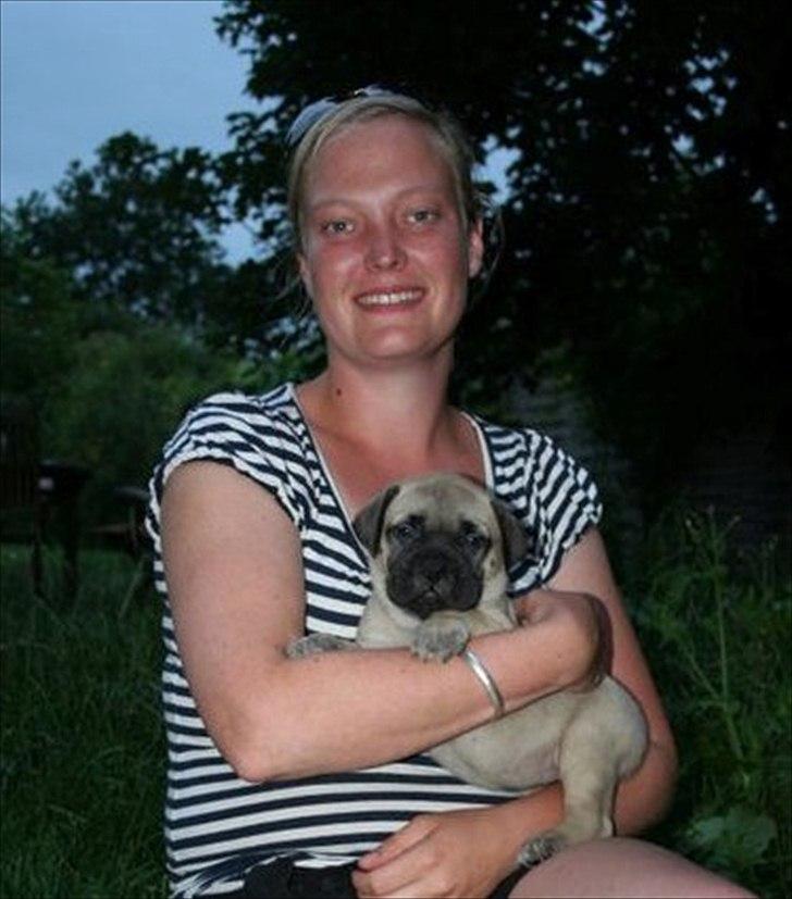 Bullmastiff Edda - Mig og min kommende menneskemoar. billede 3