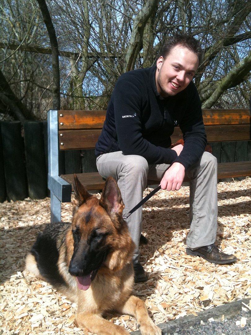 Schæferhund Kiba (Sandkærgårds Klodo) - min dejlige mand og Kibsen ;) billede 12