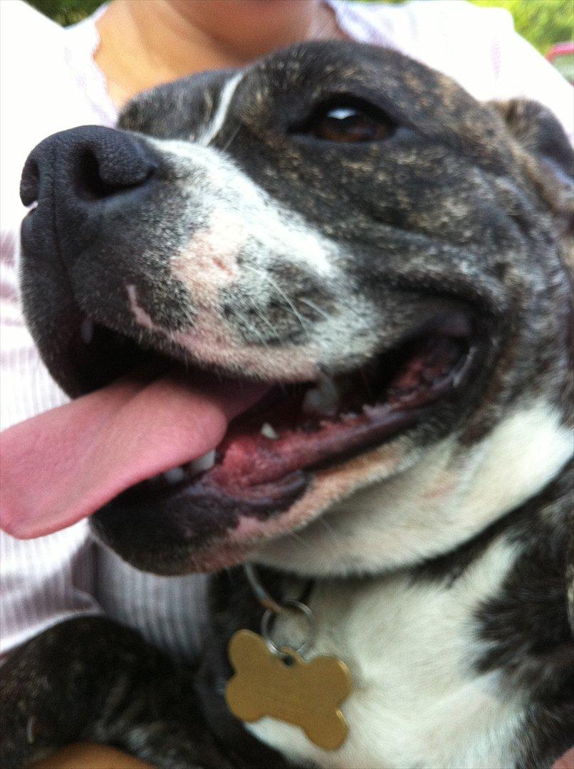 Blanding af racer Karen Malaika - - Juli 2011 billede 1