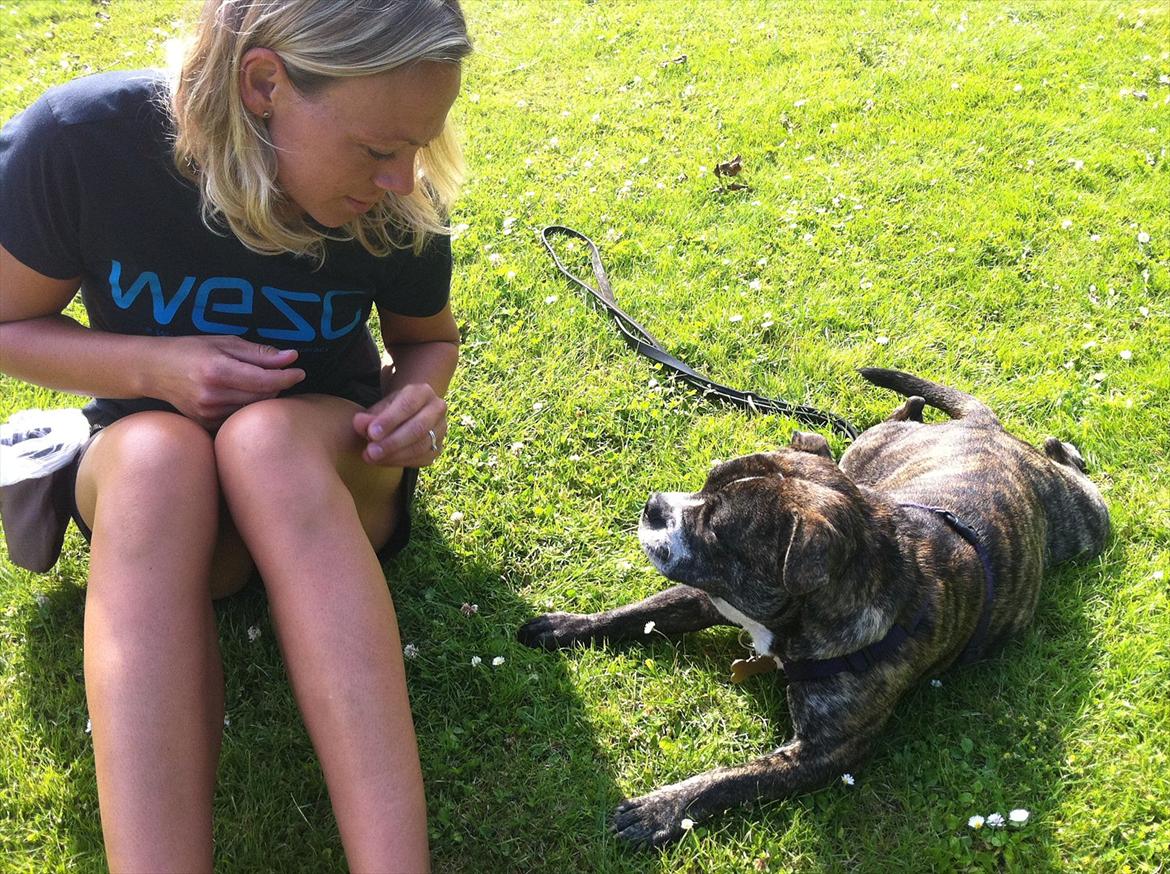 Blanding af racer Karen Malaika - - Juli 2011 .. Hygge'træne på græsset. billede 7