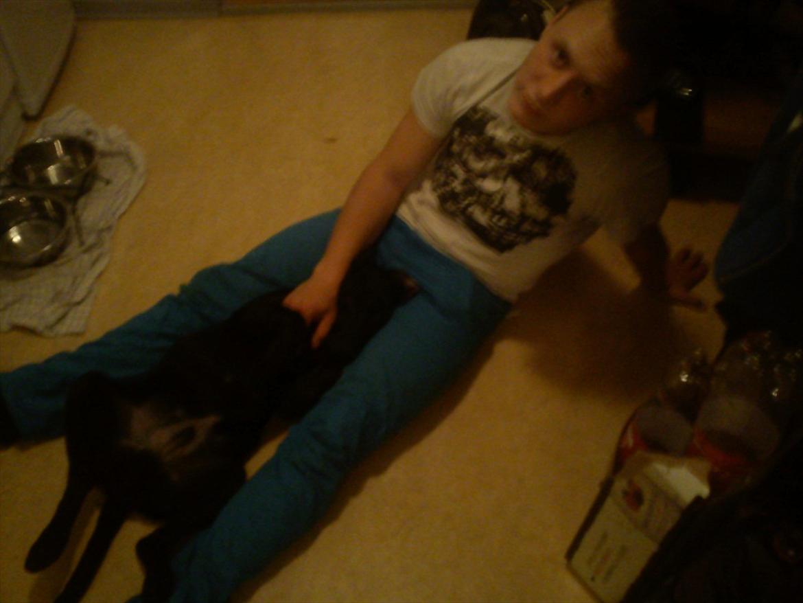 Blanding af racer Tarzan - Tarzan og hans pleje far når han er her (: billede 11