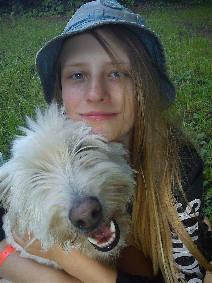 Blanding af racer *bamse* billede 11