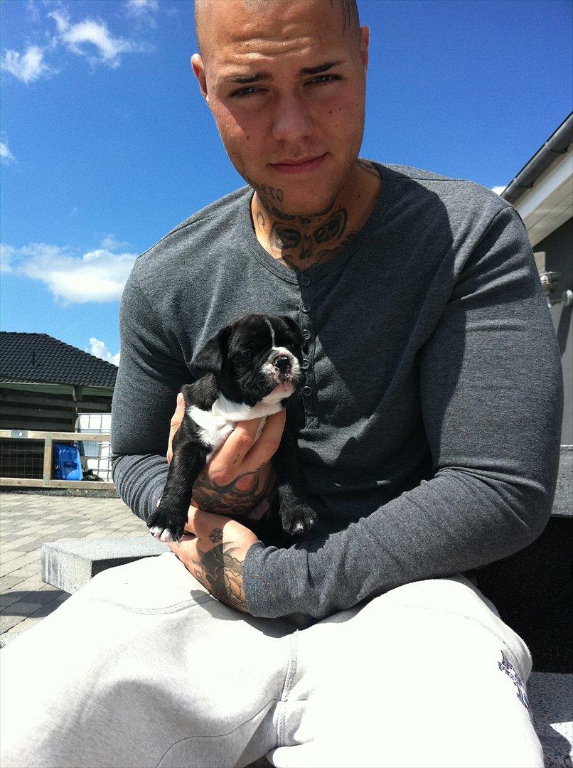 Fransk bulldog Bad Boy Hank - Flotte kæreste & Hank <3 billede 6