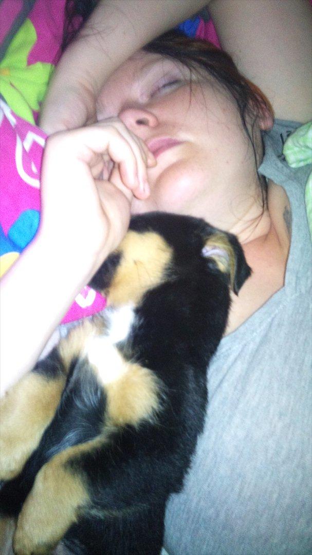 Blanding af racer Dario R.I.P - Putter igen :D billede 5