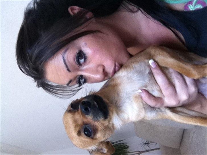 Blanding af racer Chico billede 13