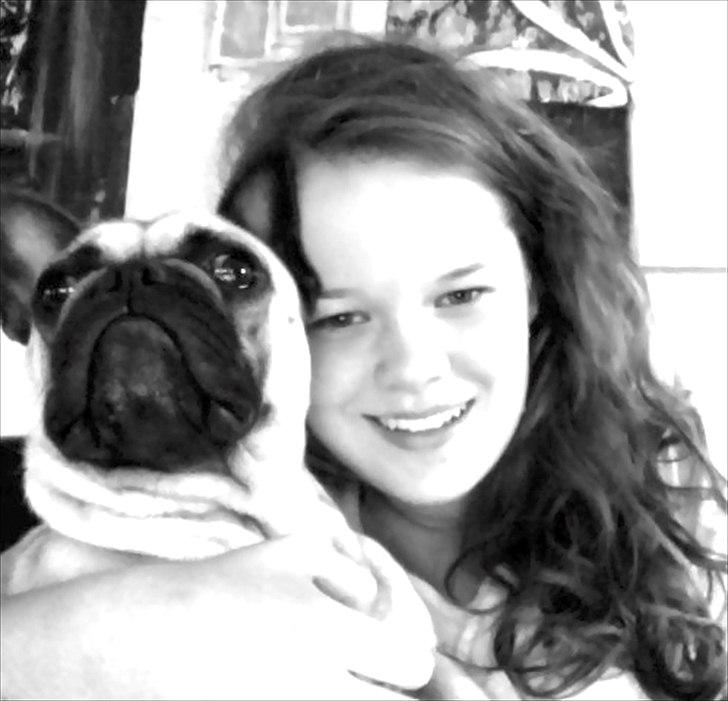 Fransk bulldog Nellie billede 18