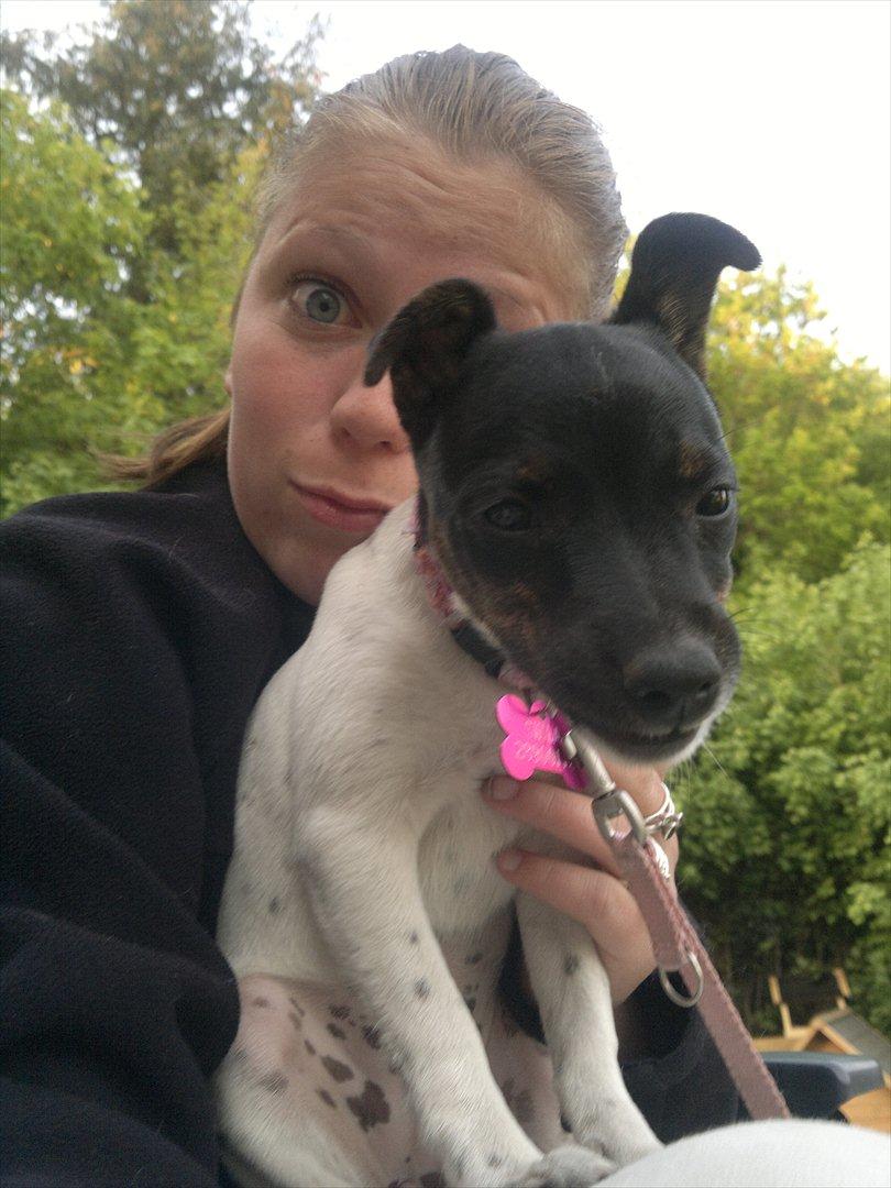 Dansk svensk gaardhund Shila - Gaaab ;p billede 12