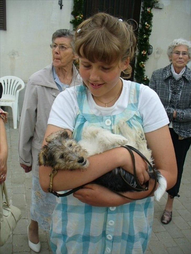 Ruhåret foxterrier Vega - My soulmate <3 - Vega og mig, til min konfirmation. billede 3