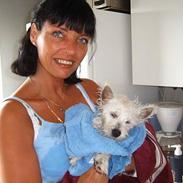 West highland white terrier sandi