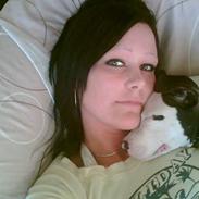 Amerikansk staffordshire terrier Tippe & Chelli