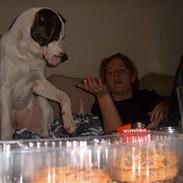 Blanding af racer chico