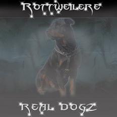 Rottweiler Kaiser RIP 