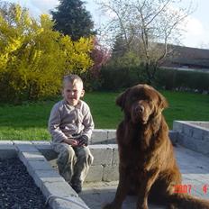 Blanding af racer Bobbi Brown