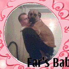 Blanding af racer Pablo