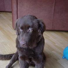 Blanding af racer Bobbi Brown