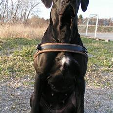 Blanding af racer Mea