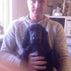 Cocker spaniel Django