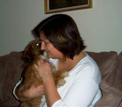 Lhasa apso Snoopy billede 10