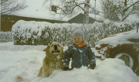 Golden retriever Susi billede 20