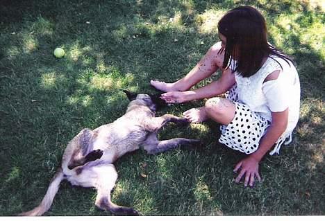 Malinois (O)nika Isell 1994-2006  - hvalpe billede 1994 billede 11