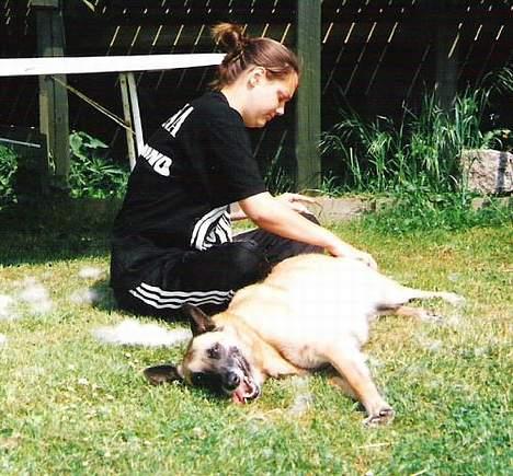 Malinois (O)nika Isell 1994-2006  - ahh dejligt at få fjernet der løse pæls... billede 19
