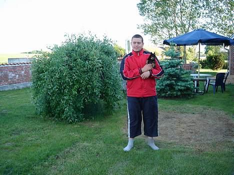 Blanding af racer donald billede 17