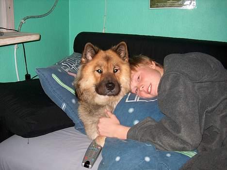 Eurasier Bymosen's Athena - To gode venner. billede 10