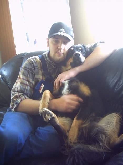 Blanding af racer Kaya - Kaya og "far" der hygger i sofaen billede 16