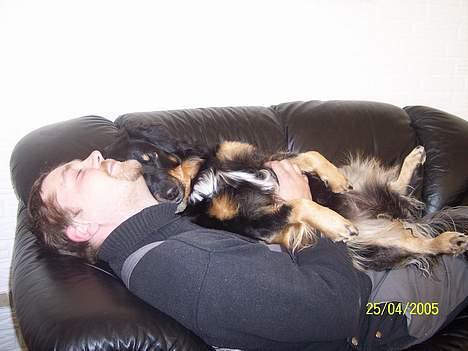 Blanding af racer Kaya billede 19