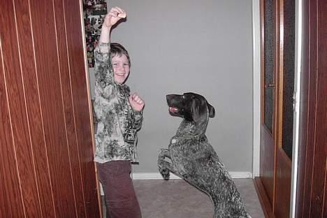 Korthåret hønsehund Debbie - Der leger vi lidt med hende. billede 5