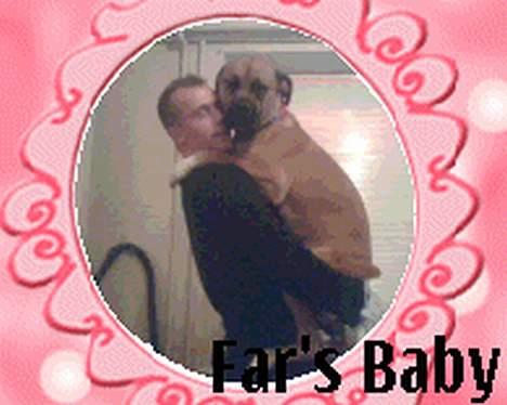 Blanding af racer Pablo - jeg elsker når min far giver mig en krammer billede 3