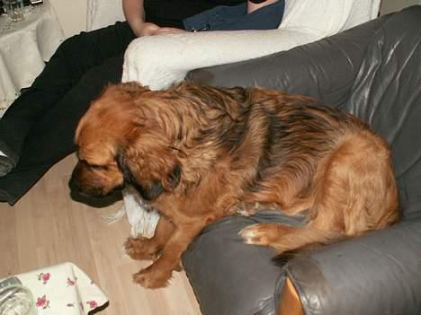 Blanding af racer Seiko - Ska jeg blive oppe....eller ska jeg gå ned....Hmmm...?? billede 9