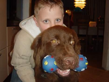 Blanding af racer Bobbi Brown billede 5