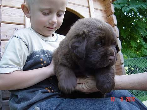 Blanding af racer Bobbi Brown billede 6