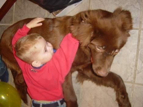 Blanding af racer Bobbi Brown billede 10