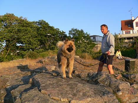 Eurasier  Chanti - Chanti på ferie og til Eurasiertræf på Bornholm sommeren 2005 billede 18